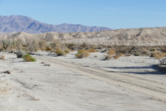 Wüste im Anzo-Borrego SP